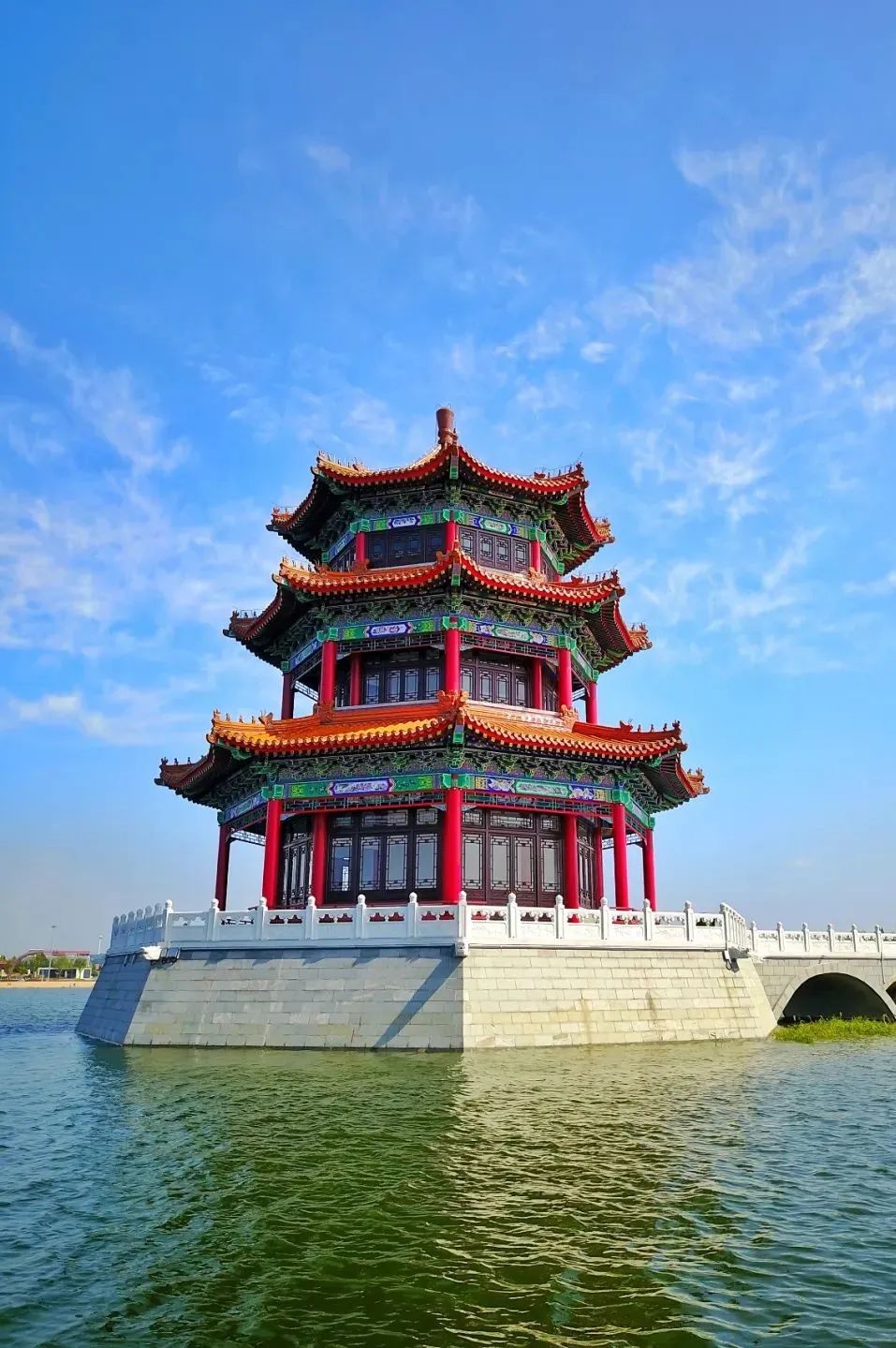 【送票】泰安网红樱花大道,油菜花田,郁金香花海…你竟然还没去?