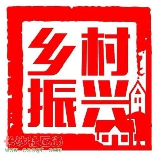 临清驻村第一书记吕恒伟:真情帮扶暖民心 真抓实干促振兴