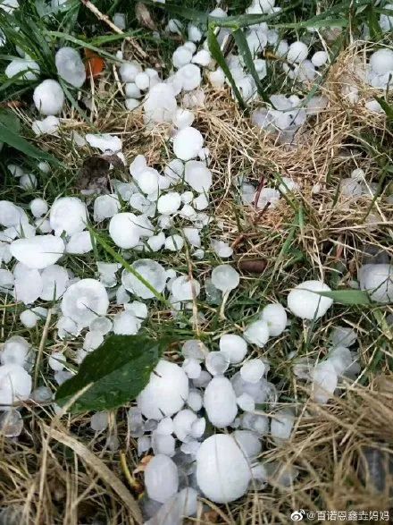 昨天山东多地突降冰雹!鸡蛋大小冰雹图刷屏!