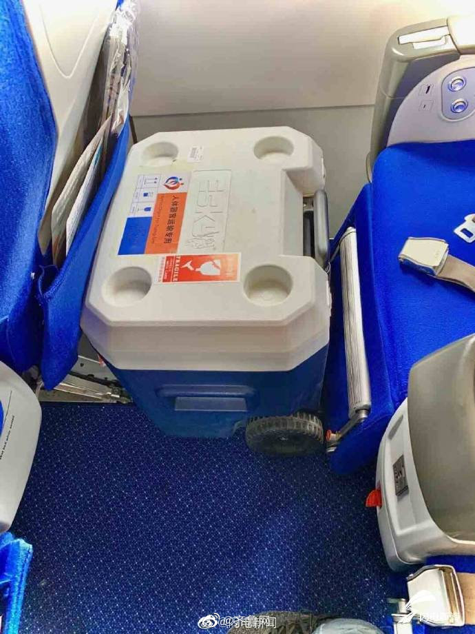 青岛至郑州741公里活体器官运输 青航用78分钟护航生命