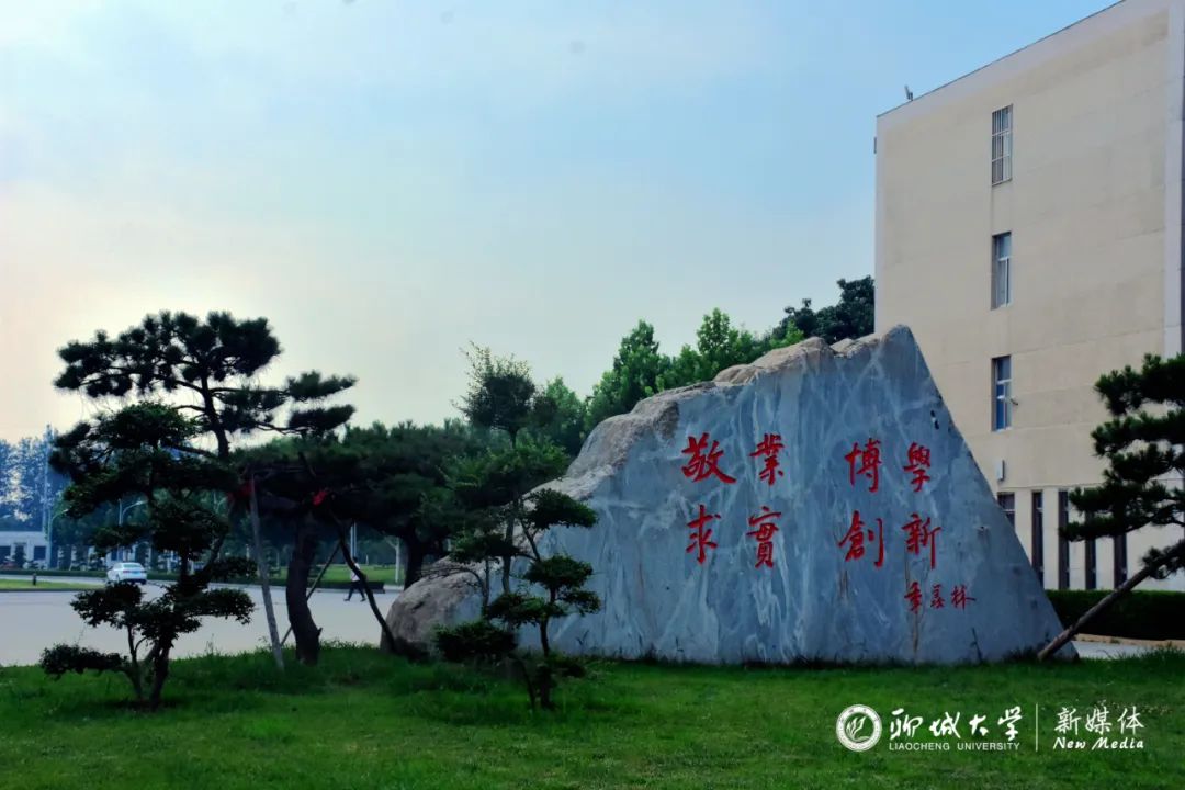 聊城大学全景图图片