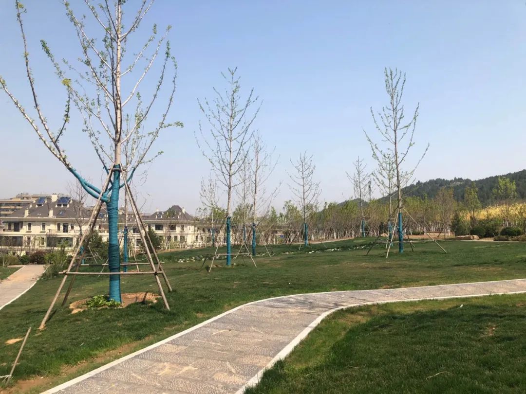 围子山公园实景图围子山公园被很多济南人成为第二个红叶谷,围子山