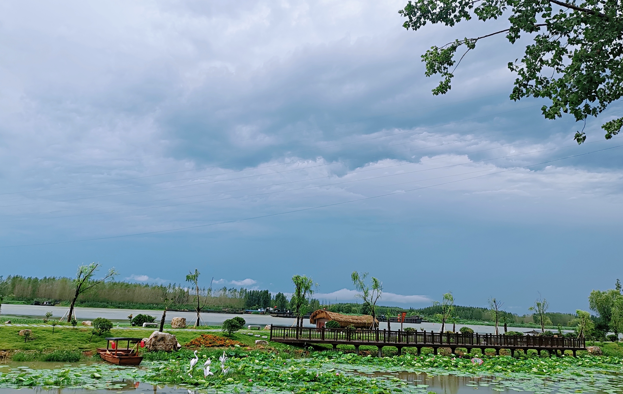 视频微山湖畔爱湖村:大学生扎堆回村,娘在闺女家长住