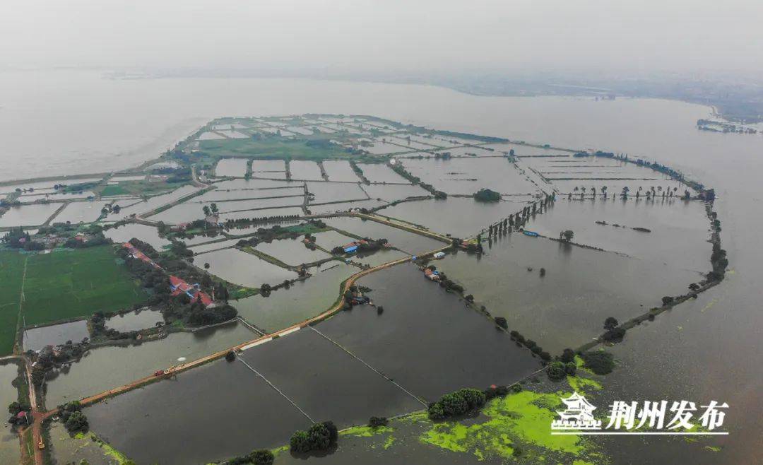 荊州入梅經歷6次強降雨兩百餘萬人次受災,防汛保持戰時狀態