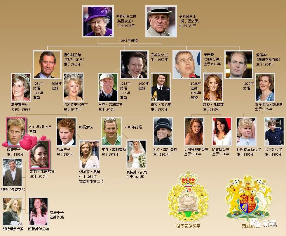 王权家族谱图片
