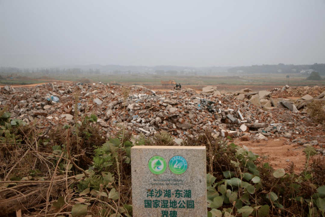 湘江治理与生态修复,"小"湿地竟有"大"功效