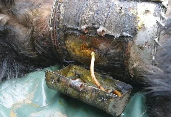 站在旁边的死嘁簧钕,身上的铁衣就开始不断收缩,伴随着她