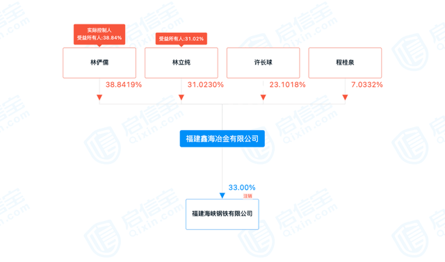 股权资料显示,林俨儒为鑫海公司的最大股东.