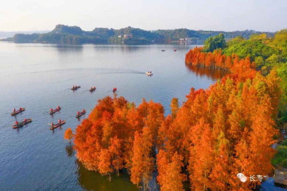 绿水青山长寿湖景美如画