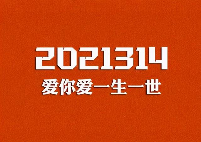 2021314代表什么意思图片