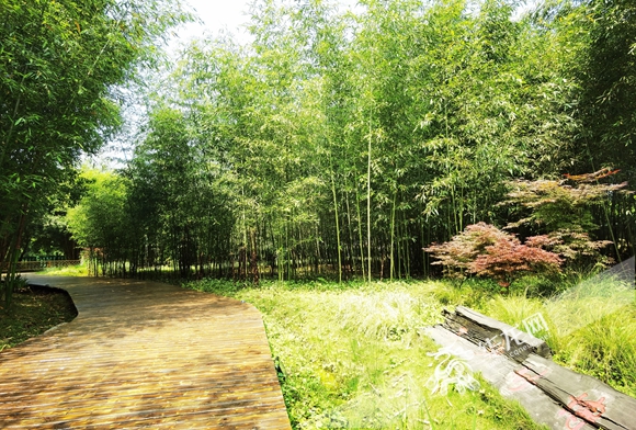 沿着高速看中国·重庆 梁平三峡竹博园 宜游宜学好去处