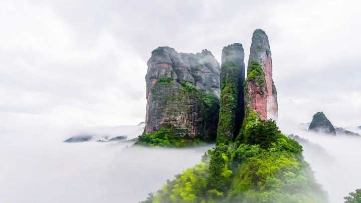 免費,半價!旅遊日浙裡景區