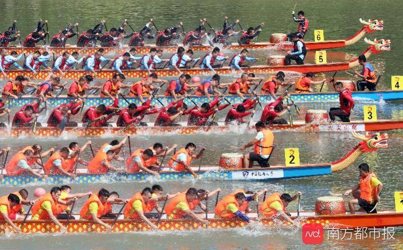 端午节广州龙舟活动停办,回看广东往年热闹龙舟赛(组图)