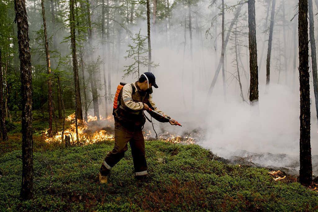 山火毒雾笼罩西伯利亚 毁坏150多万公顷针叶林