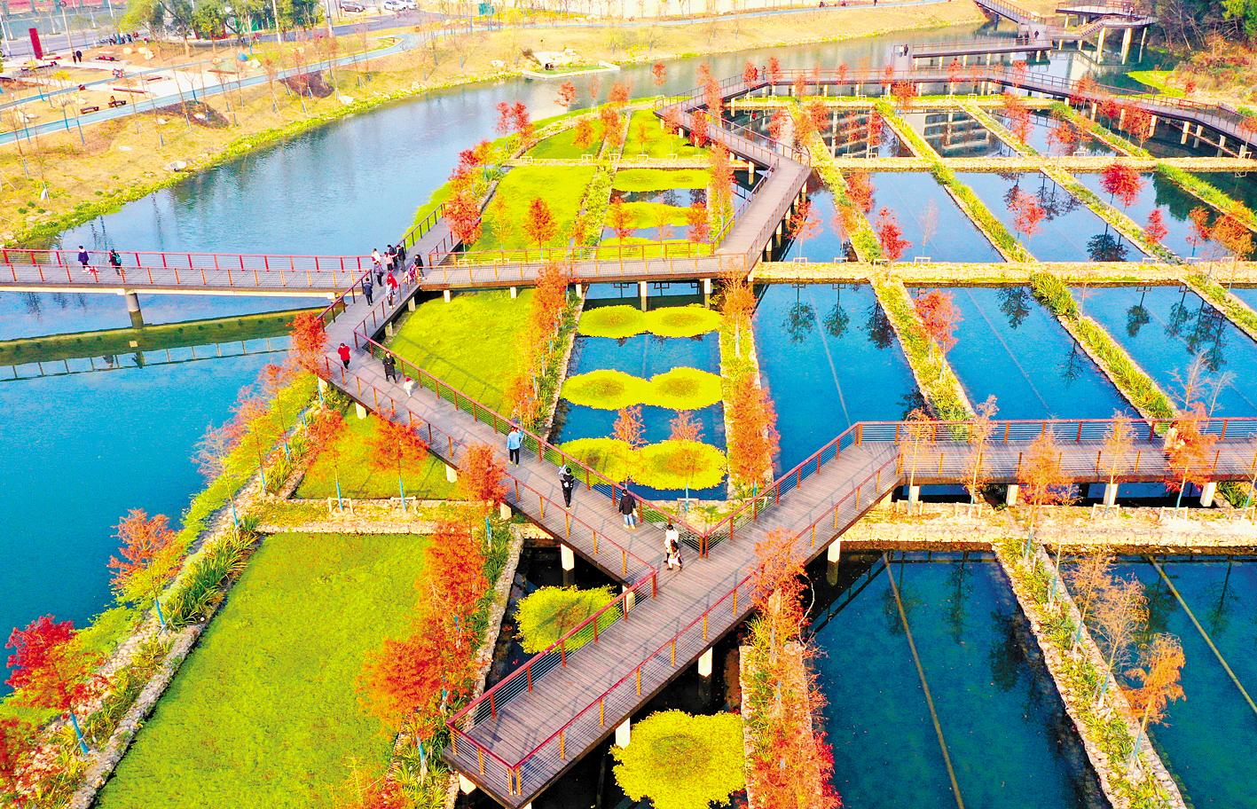 沙河湿地公园为宜昌增绿千亩