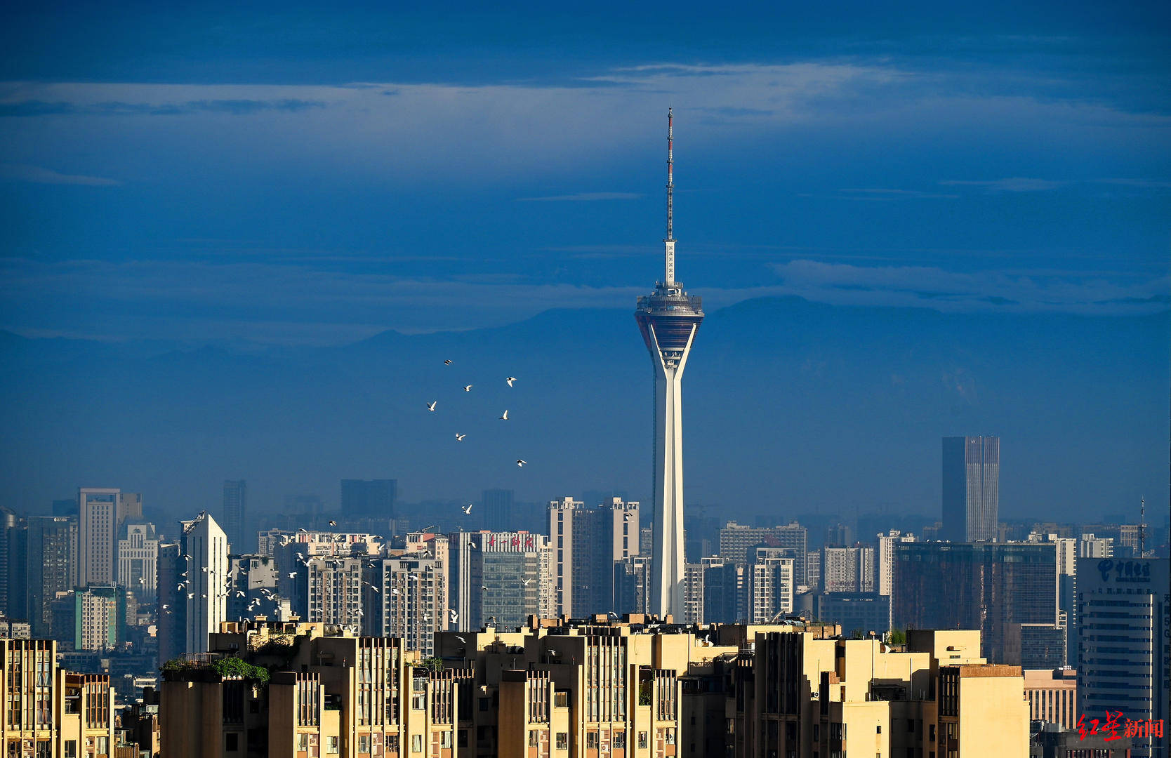 成都成华区推出营商环境建设创新突破25条支持企业发展