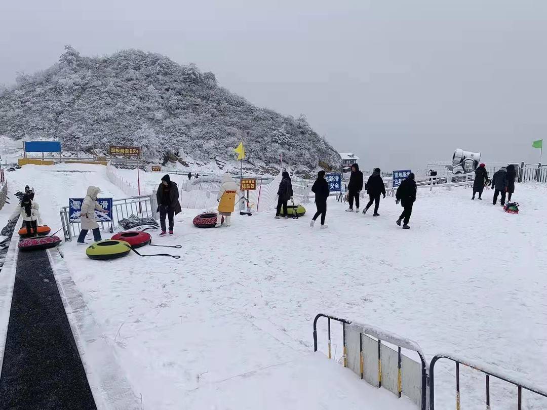 借冬奥之风八台山滑雪场今年游客增长30丨热雪四川