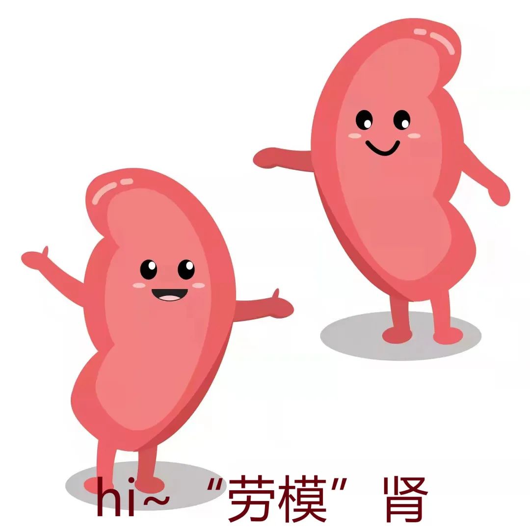 世界肾脏日定期做检查如此肾好