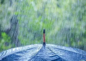 注意防范雷雨大风！山东今天中午到夜间将有强对流天气