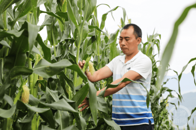 我在桥头看振兴他的人生如一本励志书 身残志坚的刘海龙变养兔能手