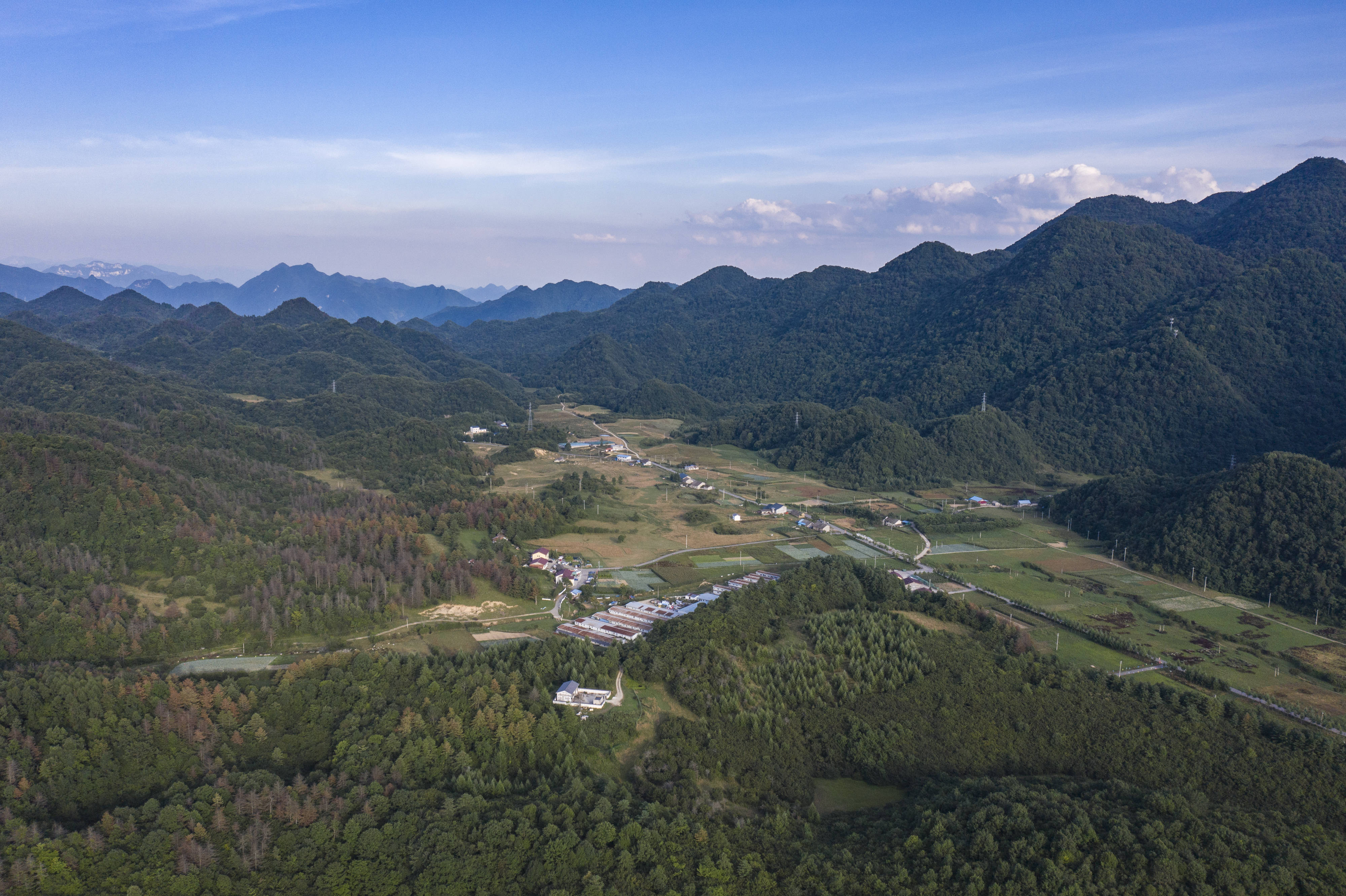 这是8月10日拍摄的重庆市巫溪县红池坝风景区景色(无人机照片).