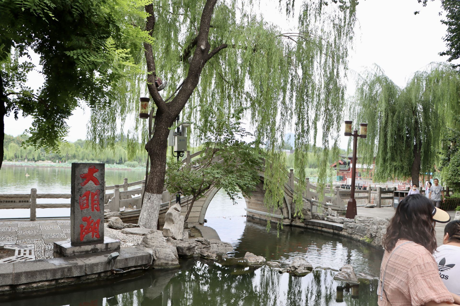 组图丨大明湖的初秋