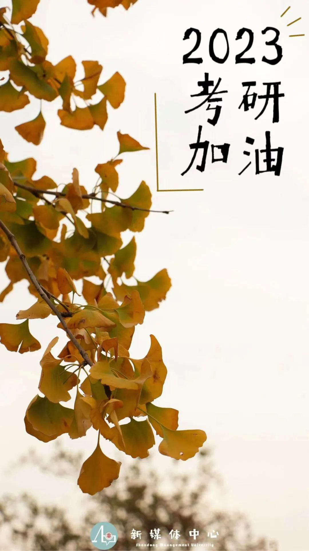 考研倒计时 | 快来领取这份上岸壁纸,山管与你一"研"为定!-齐鲁晚报网