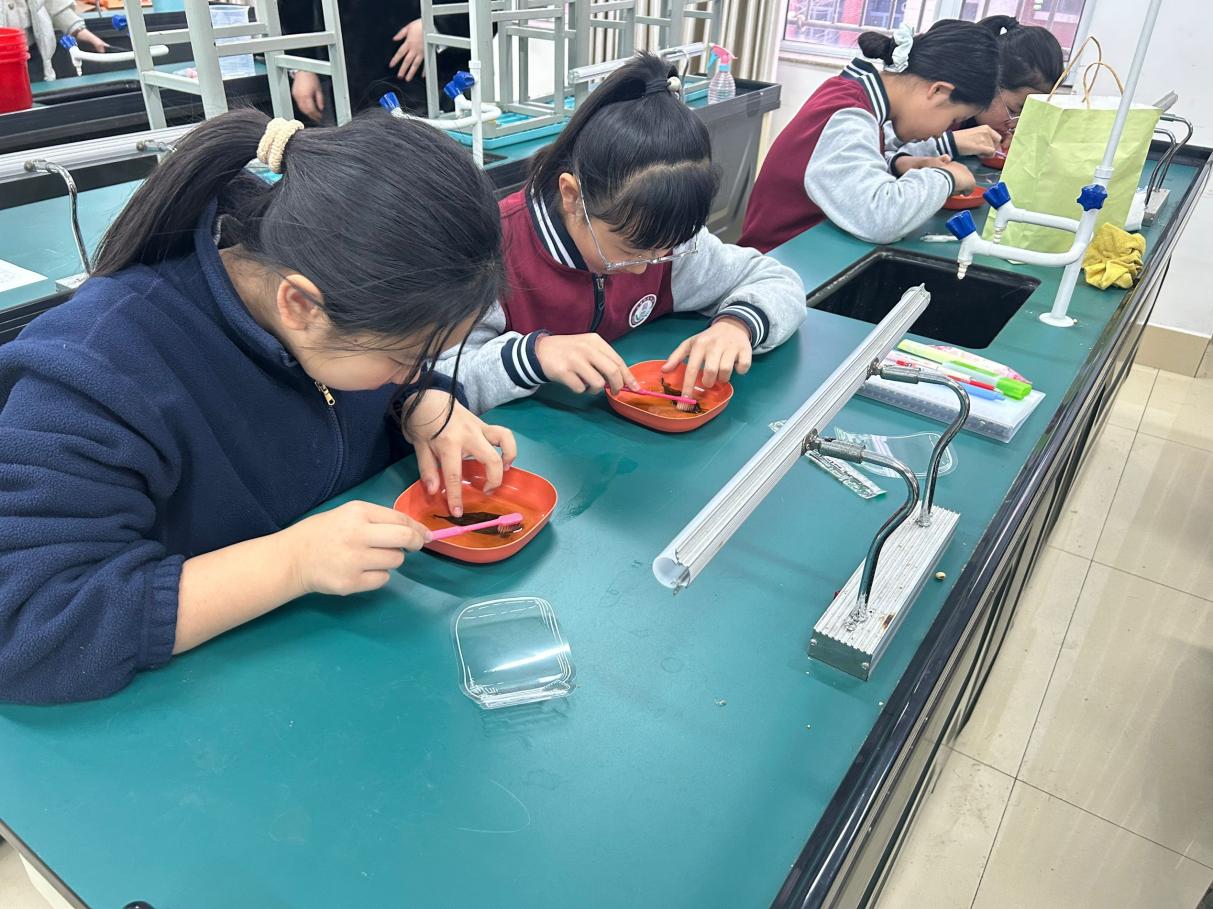 淄博柳泉中学开展科学教育课后服务，初一学生畅享多元科普盛宴​
