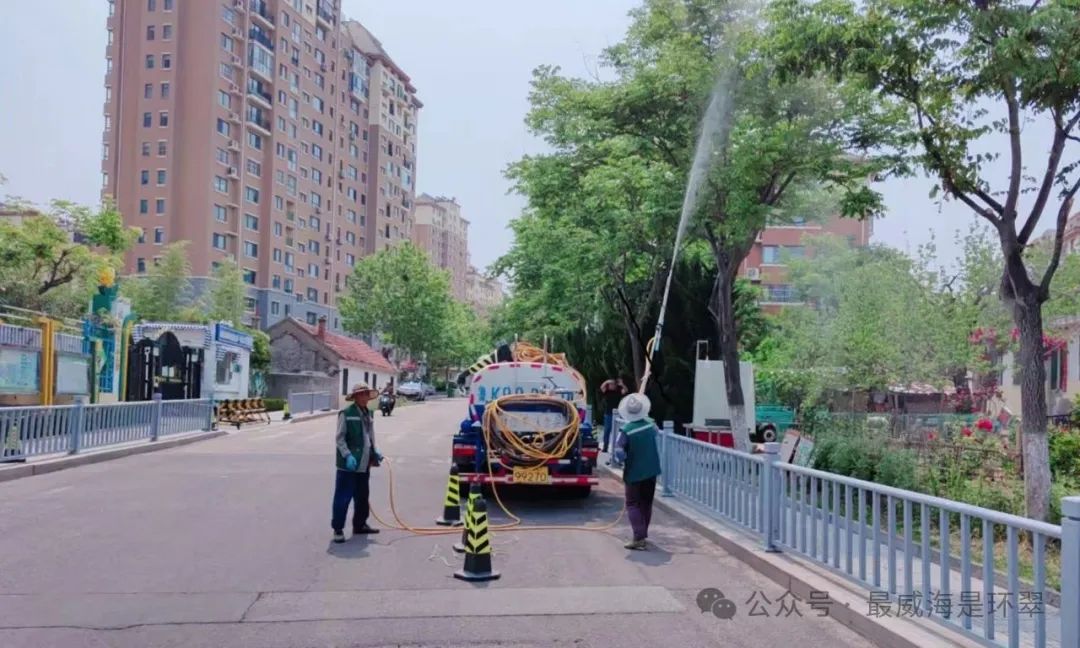 威海环翠:“打针吃药”！清晨秘密行动大公开