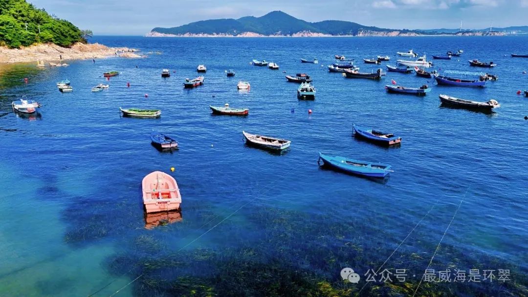 威海七月惊现 “玻璃海”，错过这次再等一年！