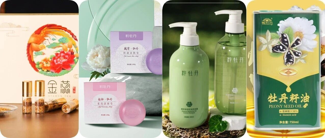 农超优选｜从一朵国花到全产业链，菏泽牡丹的N种打开方式