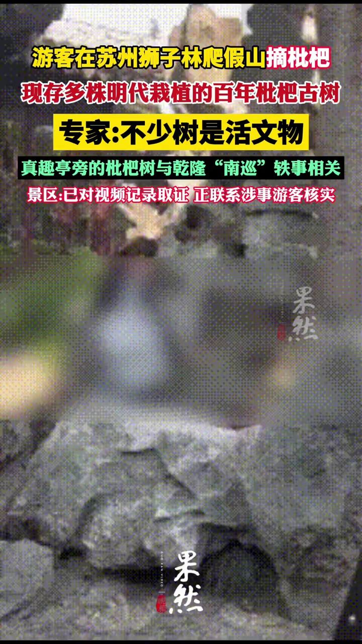 多位游客在苏州狮子林攀爬假山摘枇杷 景区已介入调查 （大风新闻）
