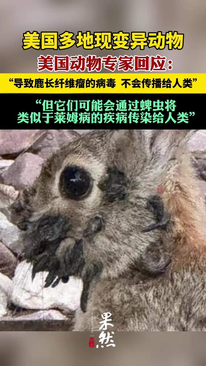 美国多地出现变异动物，美国动物专家回应。（红星新闻）