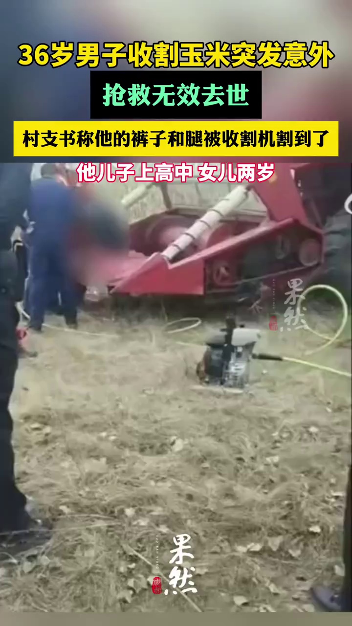 男子收割玉米突发意外抢救无效去世（百姓关注）