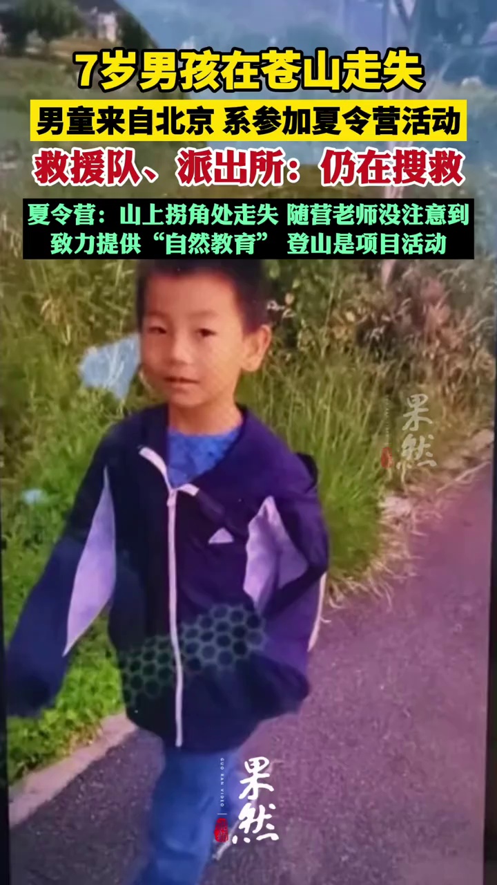 7岁北京男孩参加夏令营在苍山走失 多方回应（大象新闻 现代快报）