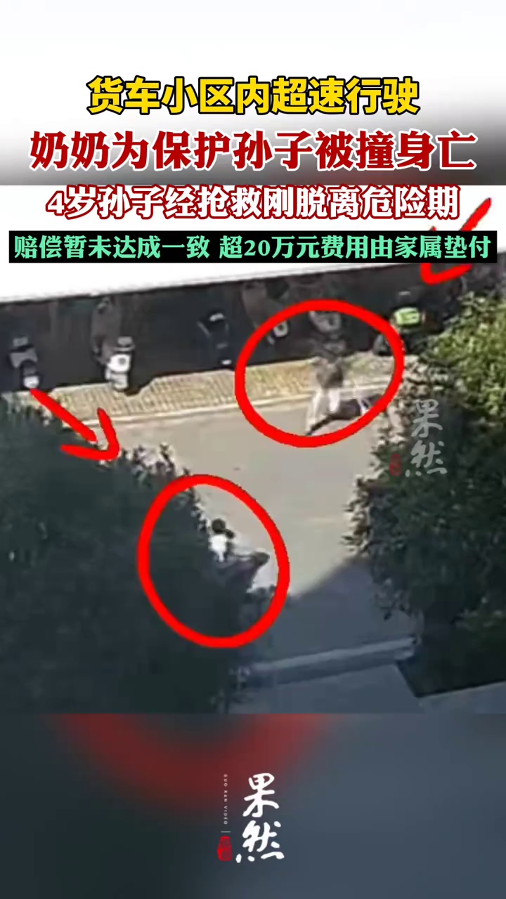 奶奶为保护孙子被撞身亡