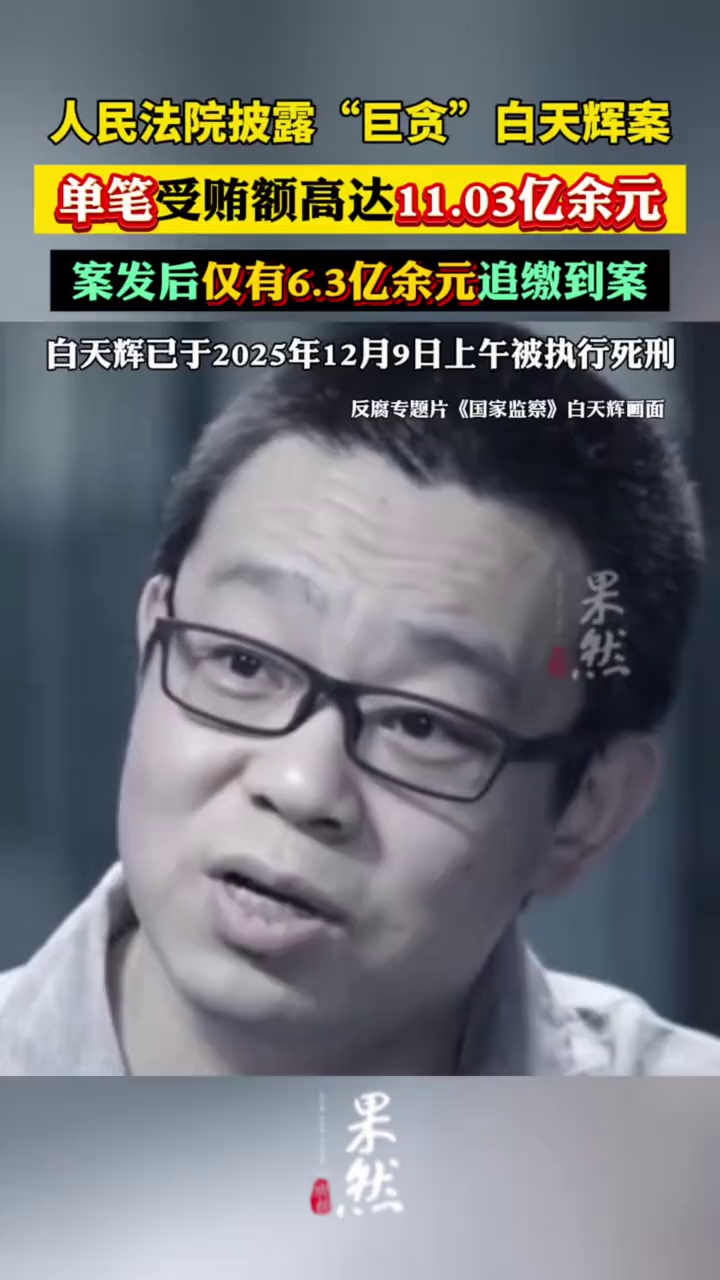 人民法院披露“巨贪”白天辉案：单笔受贿额高达11.03亿余元，案发后仅有6.3亿余元追缴到案