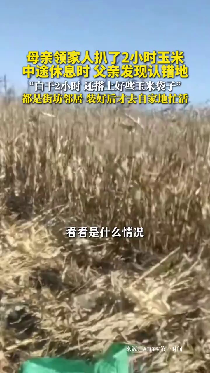 母亲领家人扒了2小时玉米，中途休息时父亲发现认错地，白干2小时，还搭上好些玉米袋子