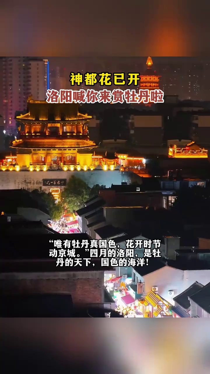 神都花已开，洛阳喊你来赏牡丹啦