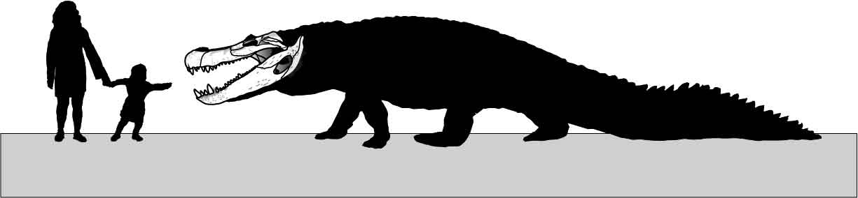 图注:普鲁斯鳄的复原图,图片来自网络 巨鳄杀巨龟,就好像今天亚马逊河