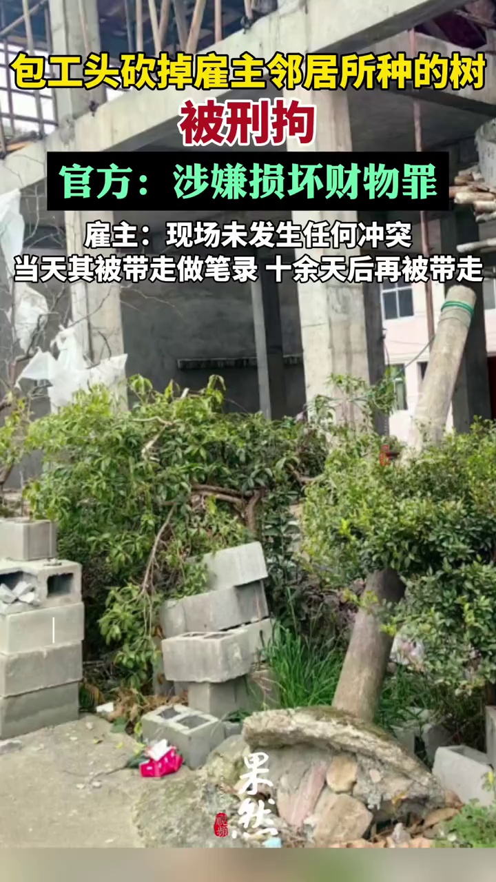 一包工头砍掉雇主邻居所种树被刑拘（澎湃新闻）