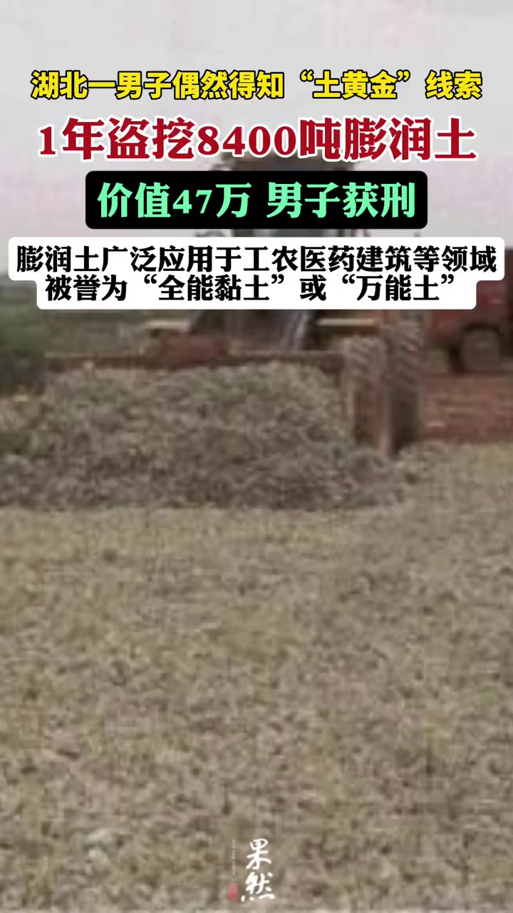 盗挖良田下的8400吨“土黄金”，男子获刑（极目新闻）
