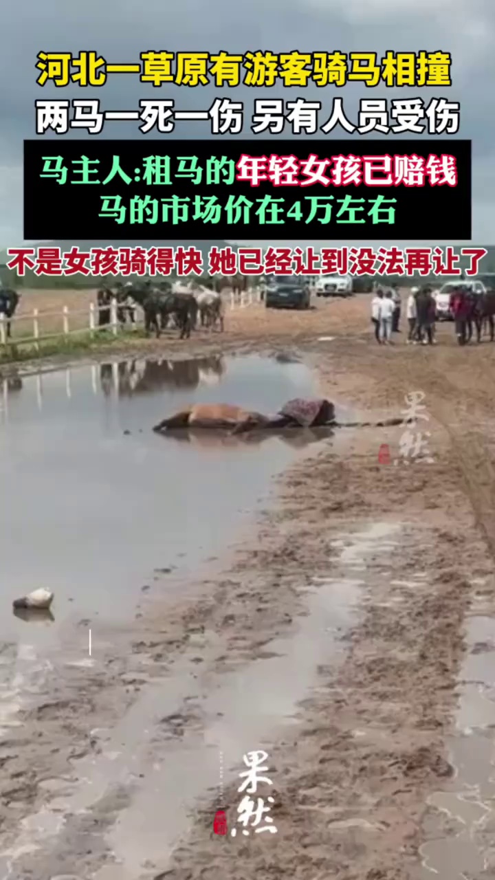 骑马相撞致马匹死亡当事人已赔钱（极目新闻）