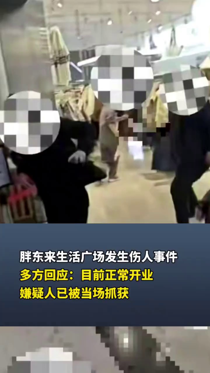 胖东来生活广场发生伤人事件，多方回应：目前正常开业嫌疑人已被当场抓获