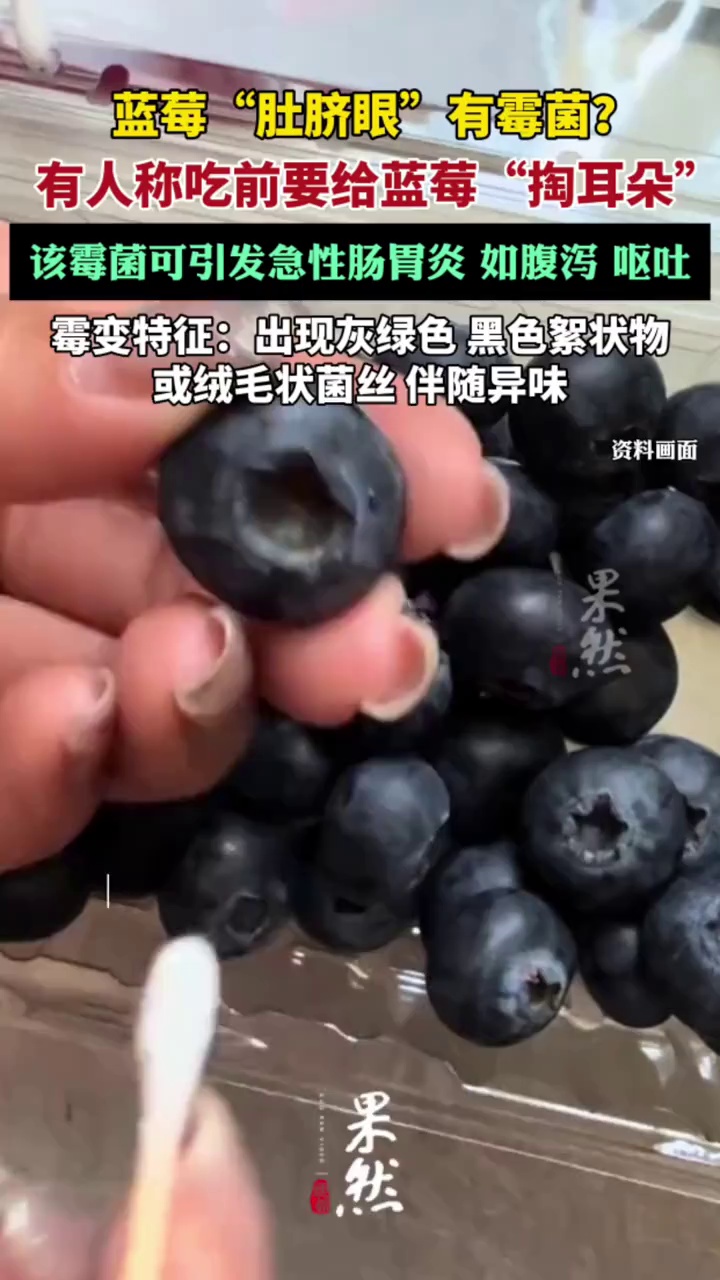 蓝莓“肚脐眼”有霉菌?（光明网）