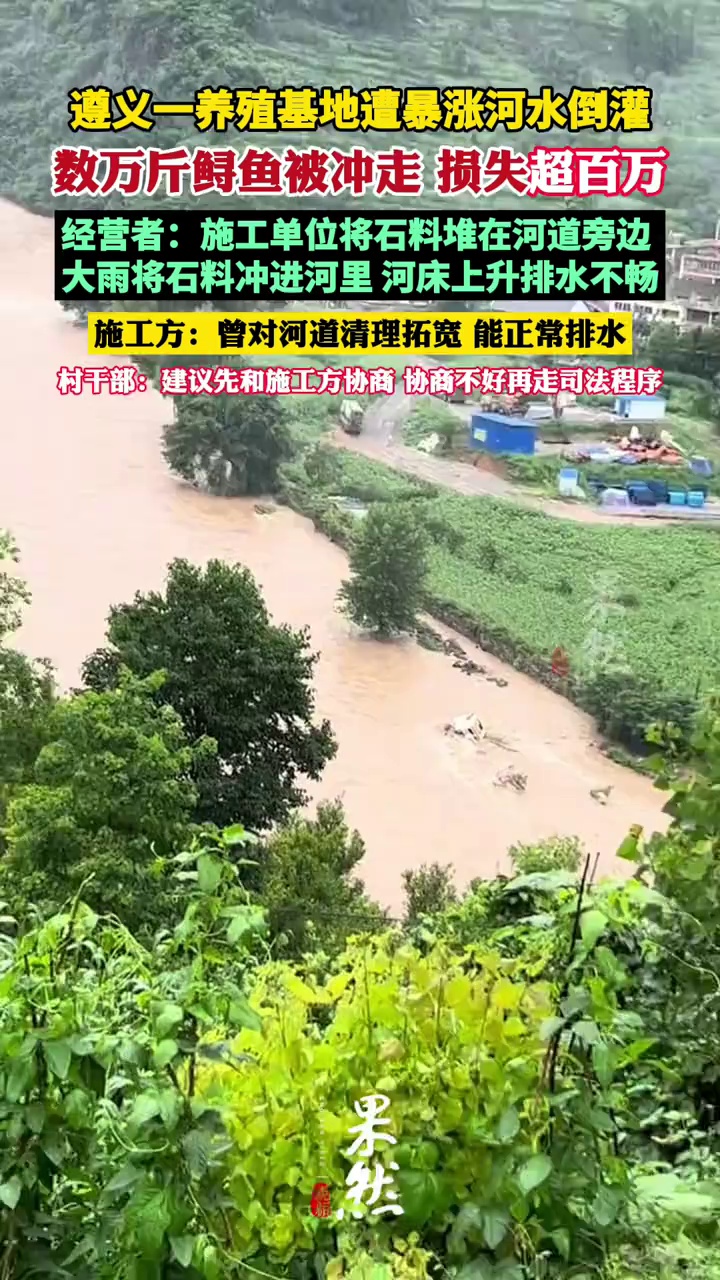 遵义一养殖基地遭暴涨河水倒灌，经营者：数万斤鲟鱼被冲走，损失超百万（极目新闻）