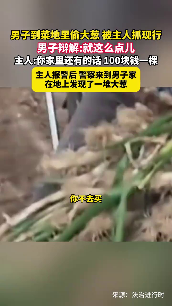 男子到菜地里偷大葱，被主人抓现行，男子辩解：就这么点儿，报警后警察在男子家中发现一堆大葱