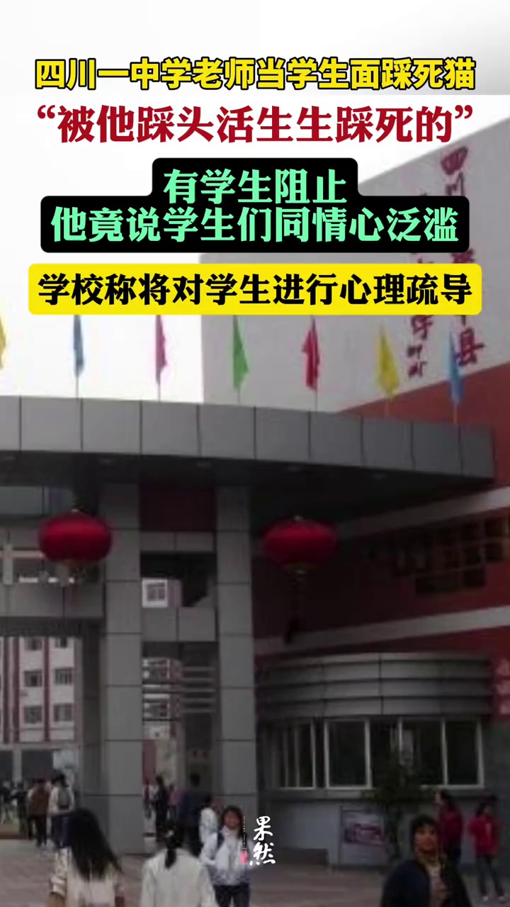 四川一中学老师当学生面踩死猫扔垃圾桶，学校称将对学生进行心理疏导。（大风新闻）