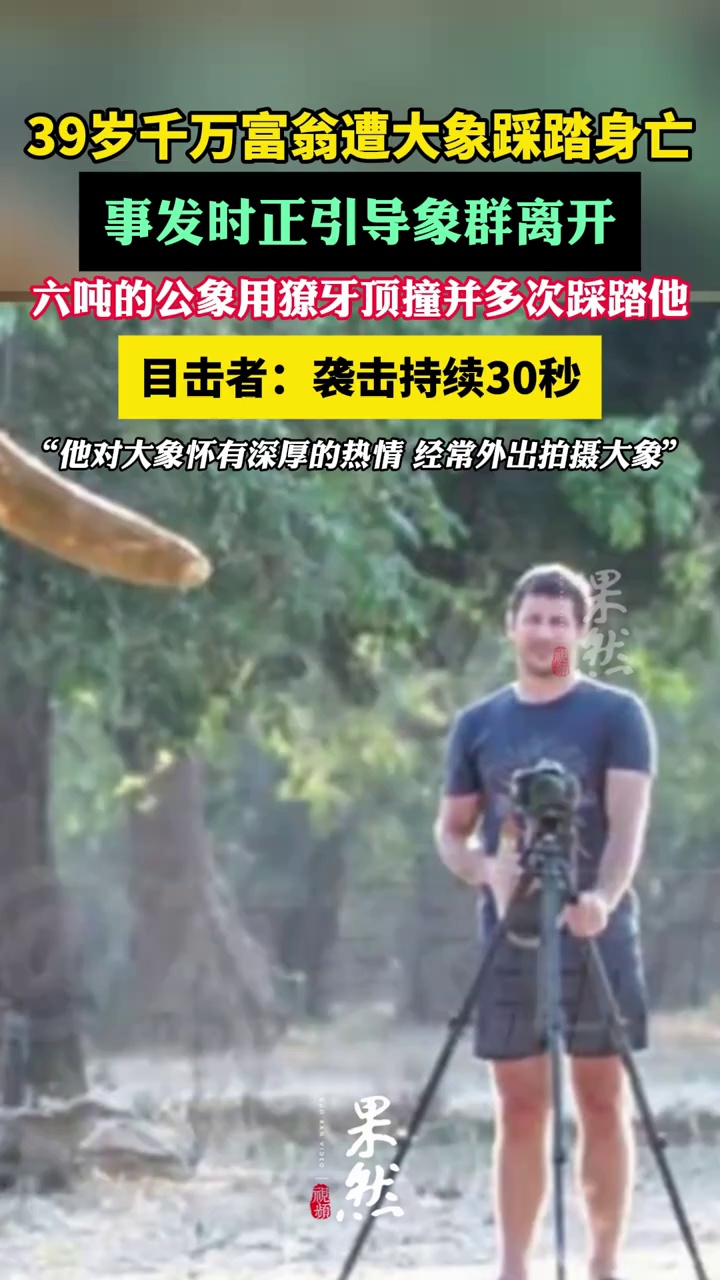 39岁千万富翁遭大象踩踏身亡（荆楚网、大象新闻）
