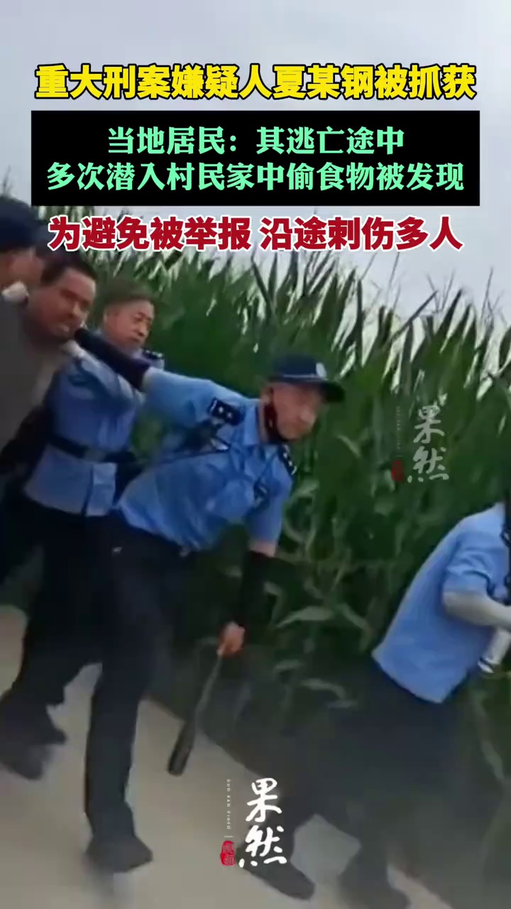 重大刑案嫌疑人夏某钢被抓获，当地居民:其逃亡途中多次潜入村民家中偷食物被发现